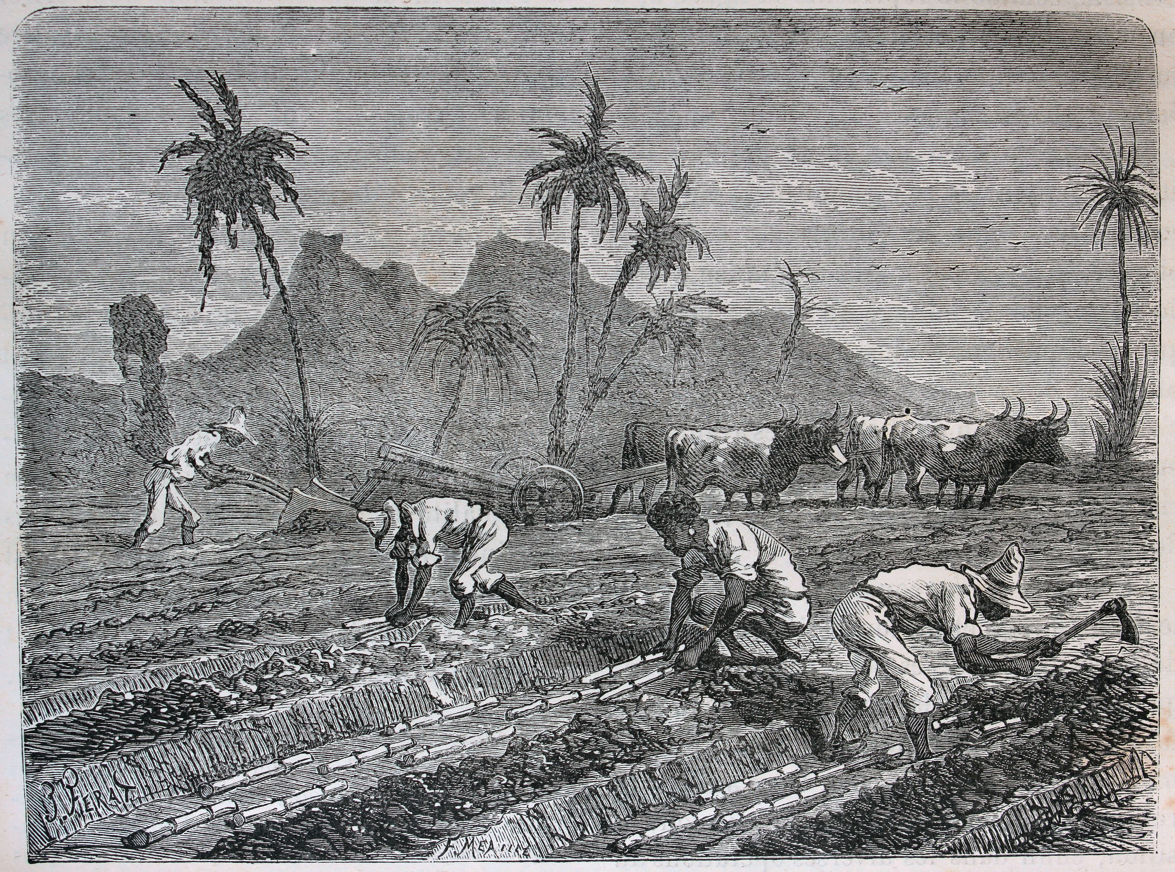 Venezuela's Forgotten History: Lessons Unlearned