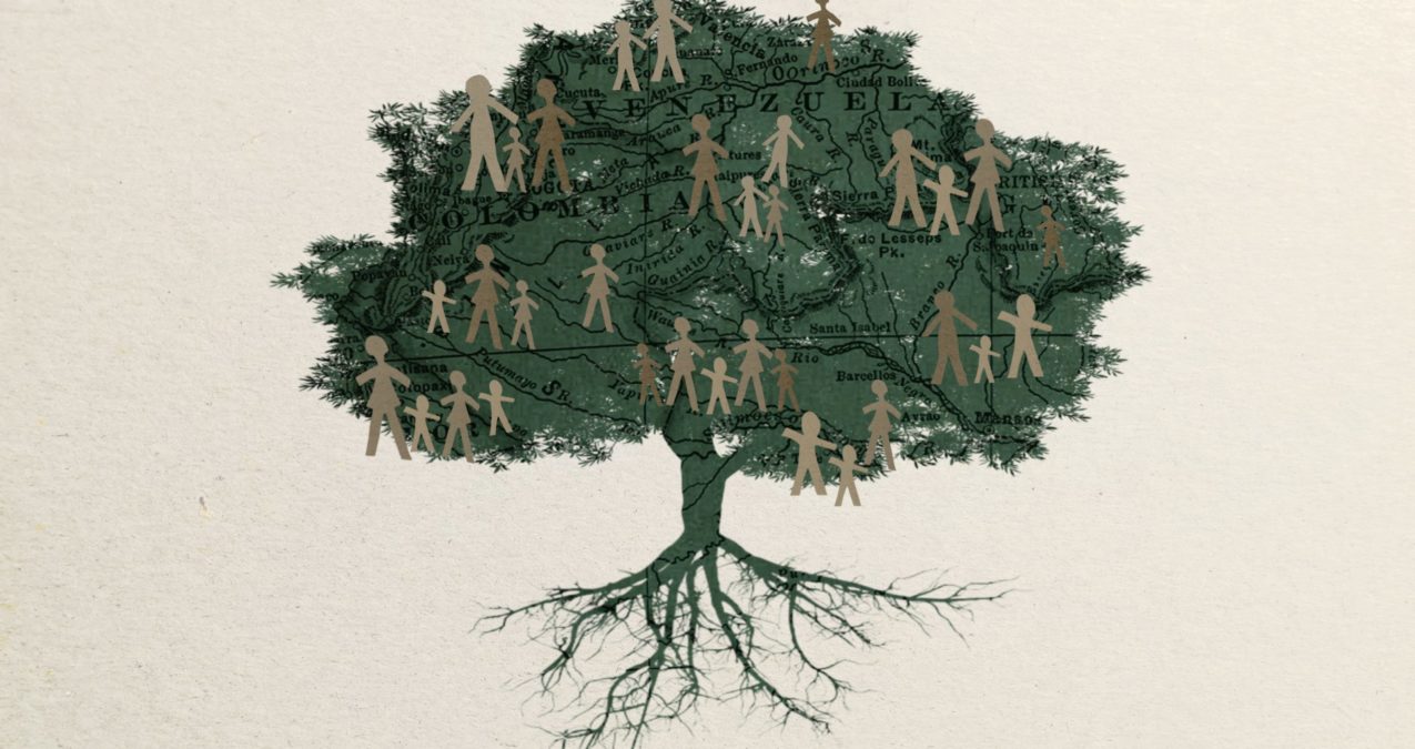 árbol genealógico arrancado de raíz