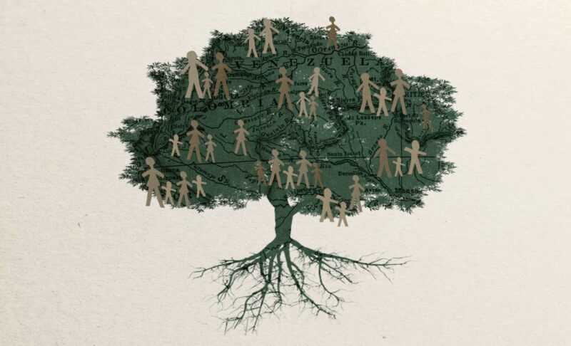 árbol genealógico arrancado de raíz